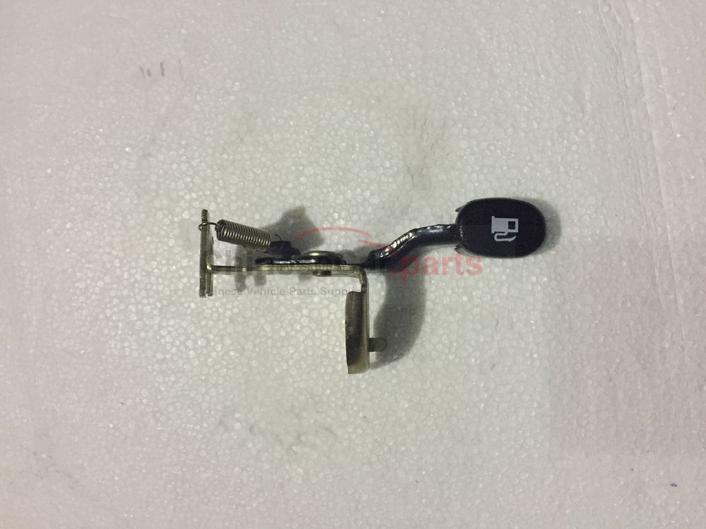 Fuel tank door control mechanism