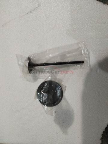Valve - Inlet