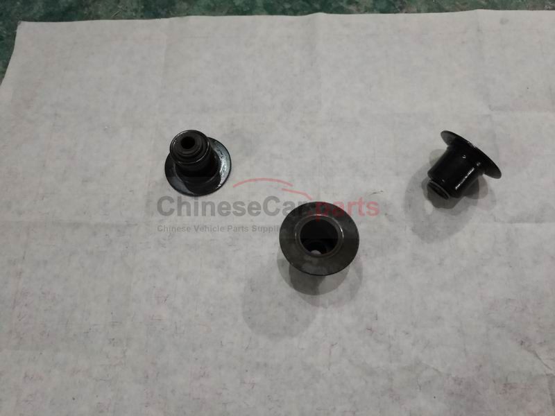 valve oil seal