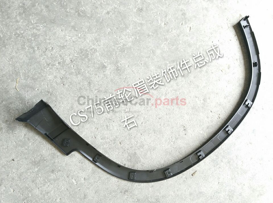 Front fender guard