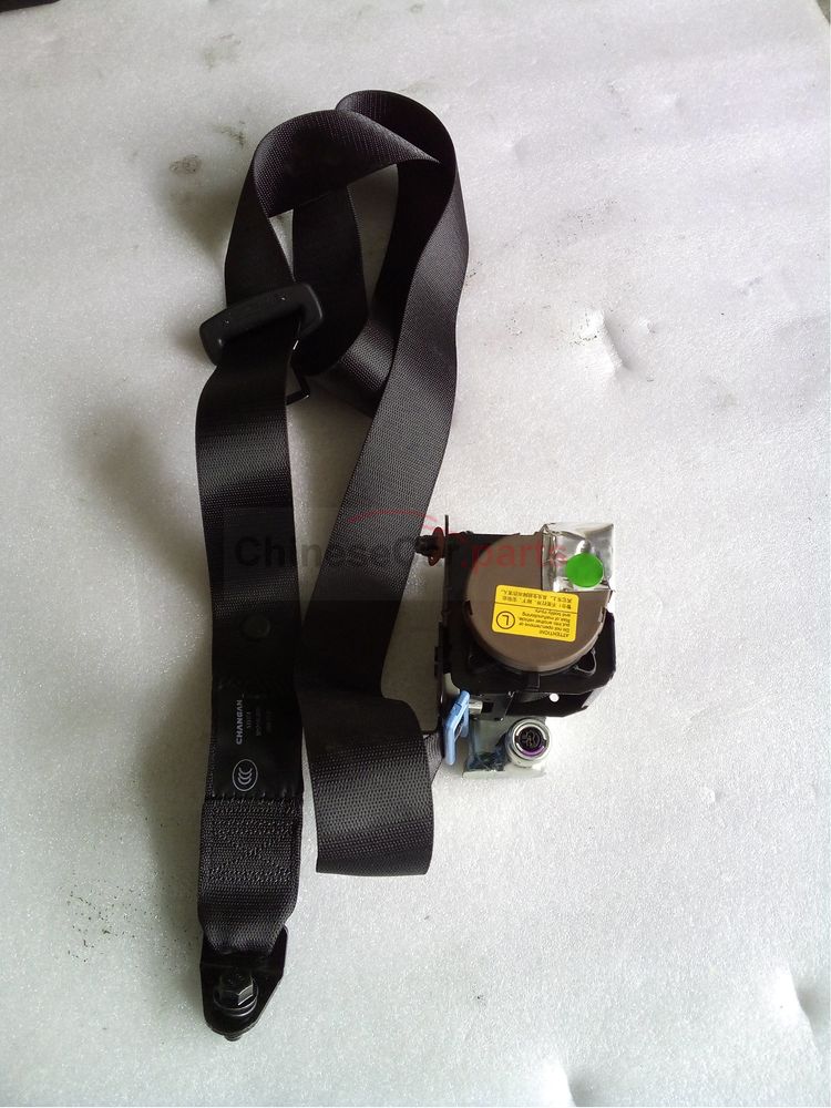 Rear seat belt assembly