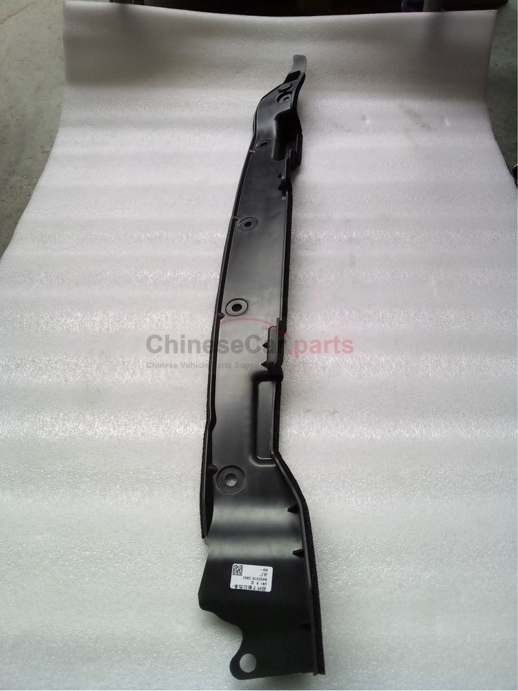 Front fender rear trim strip