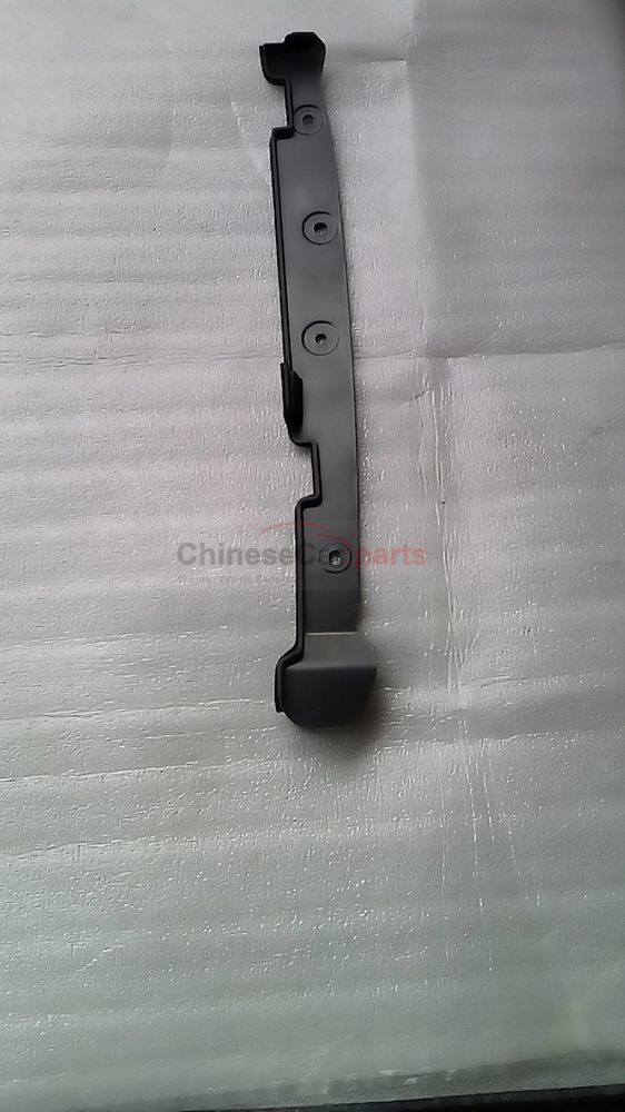 Front fender rear trim strip