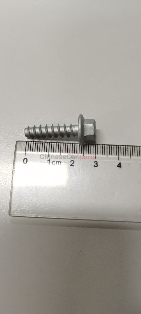 Screw - intake manifold