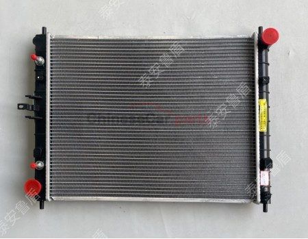 RADIATOR ASSY