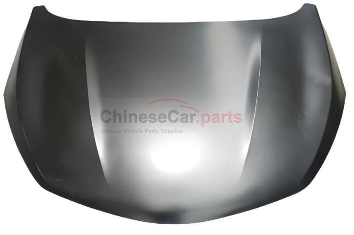 PANEL ASSY, FR HOOD