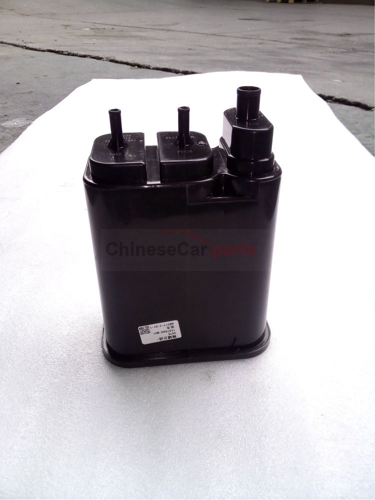 Carbon canister assembly