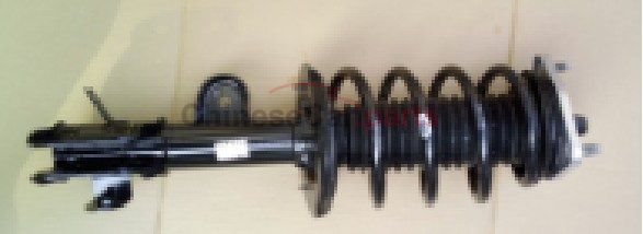 STRUT ASSY FR-LH