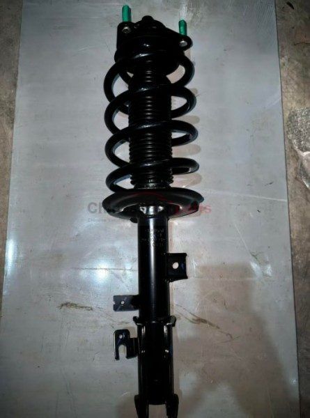 STRUT ASSY FR LH