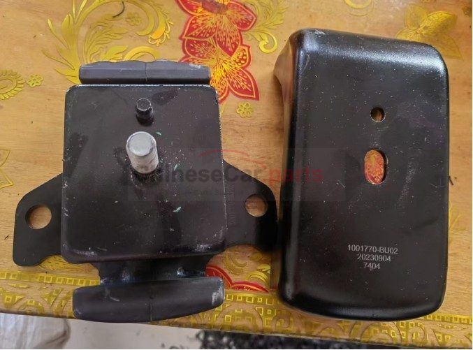 MOUNT CUSHION ASSY RH