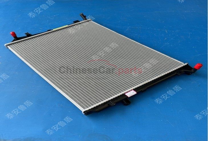 LOW TEMPERATURE RADIATOR WITH ACCESSORIES ASSY