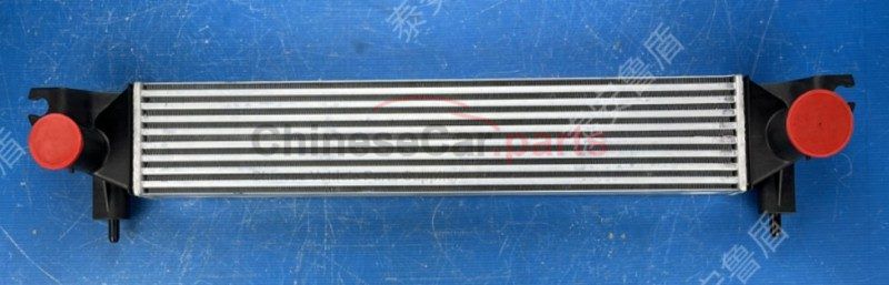 RADIATOR ASSY