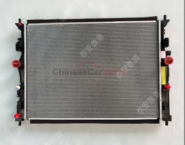 RADIATOR ASSY