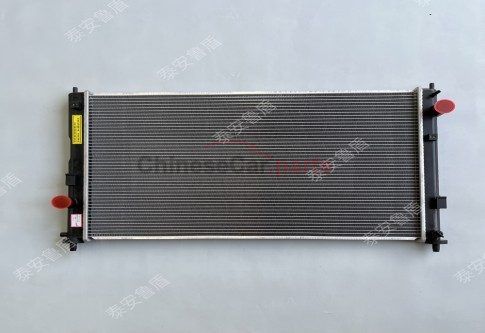 RADIATOR ASSY