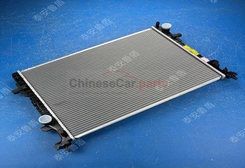 RADIATOR ASSY