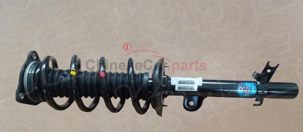 FR SHOCK ABSORBER AND COIL SPRING ASSEMBLY