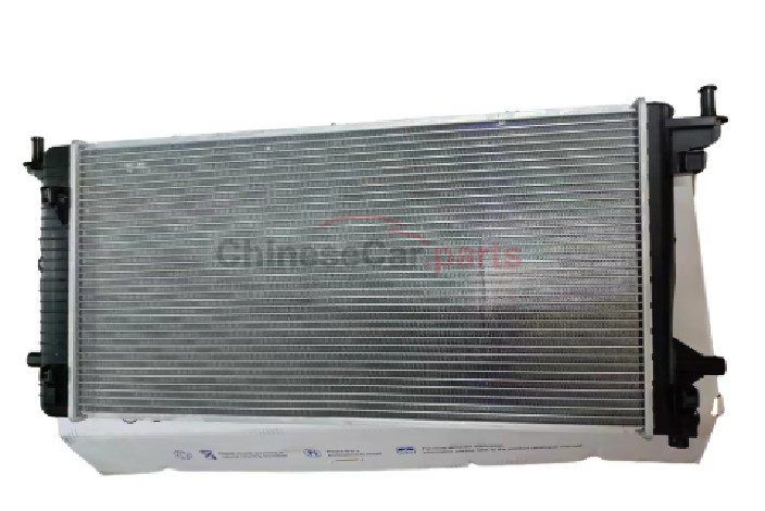 RADIATOR ASM