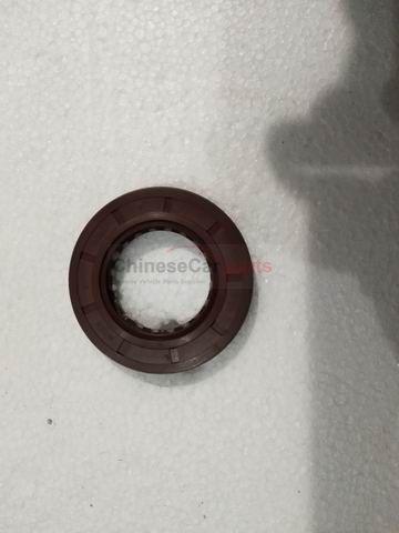 rear crankshaft oil seal