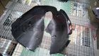 R fender liner R