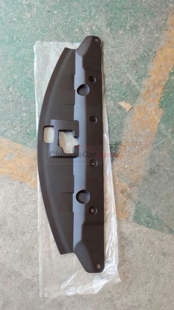 Decorative cover plate on the front bumper