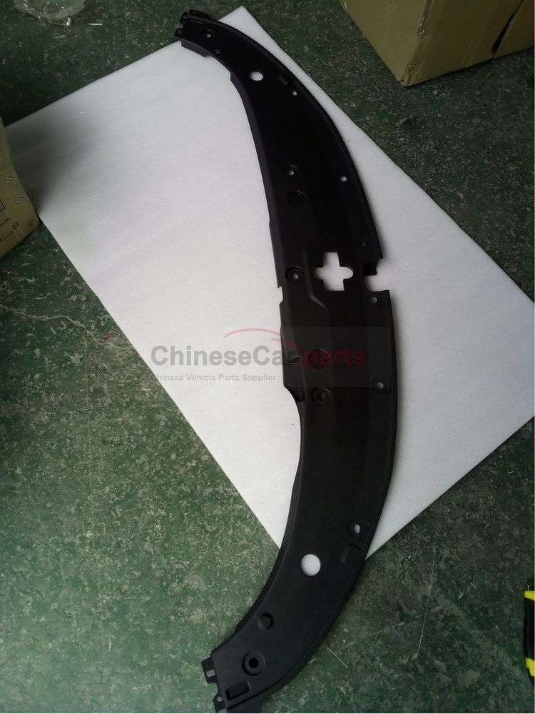 Decorative cover plate on the front bumper
