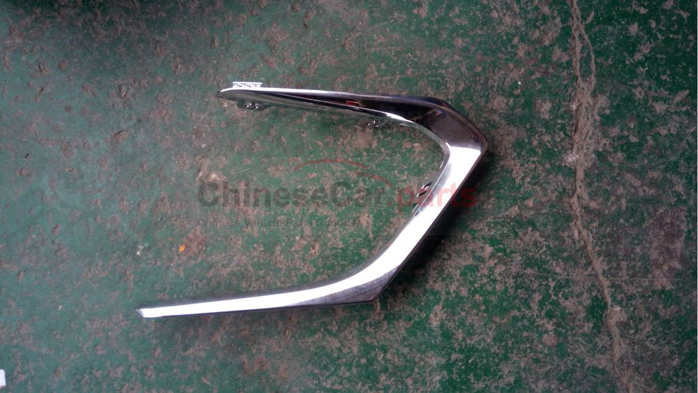 Front bumper decorative piece 1