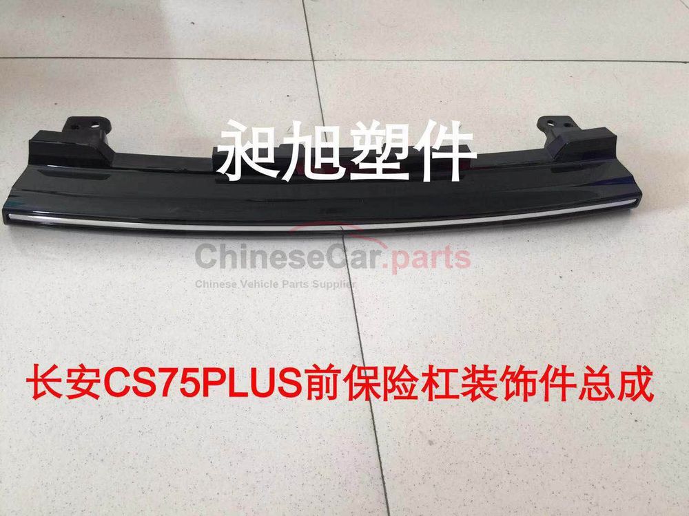 Front bumper cover plate