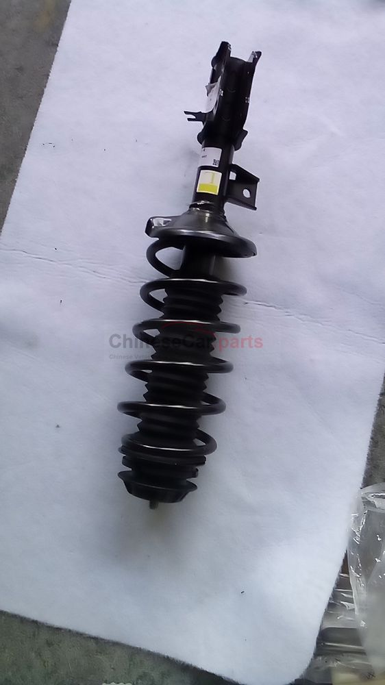 Front shock absorber assembly