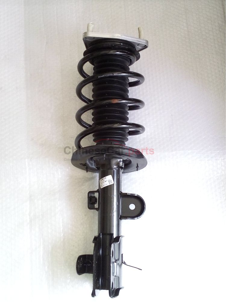 Front shock absorber assembly