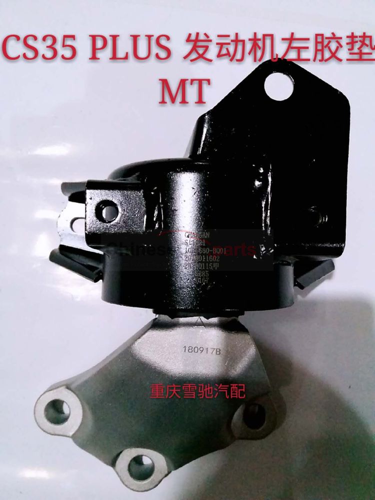 Left engine gasket