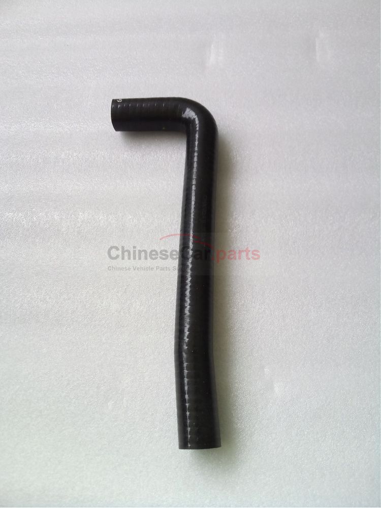Inlet pressure relief valve hose
