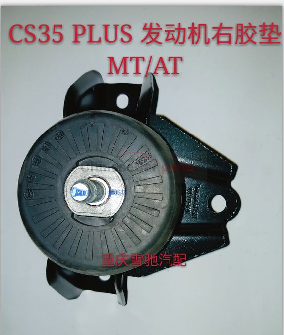 Right engine gasket