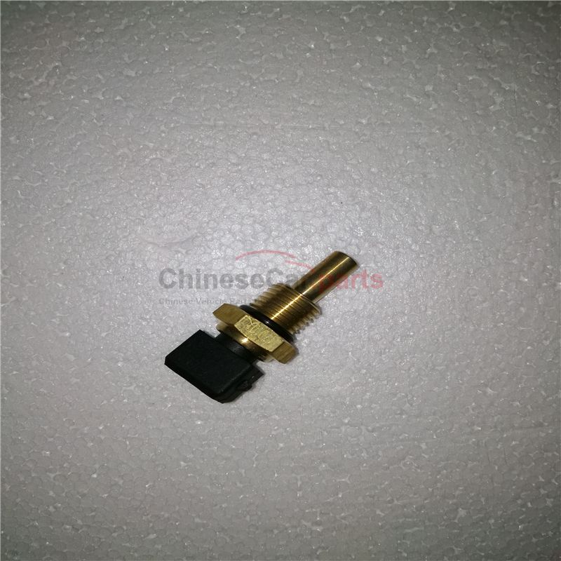 Water temperature sensing plug